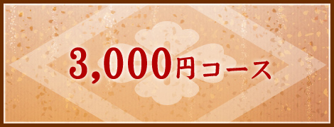 3000円コース