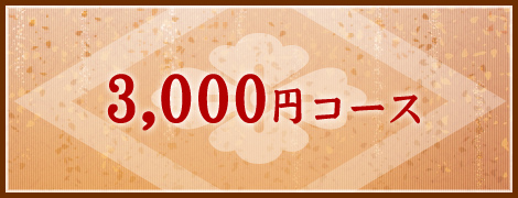 3,000円コース